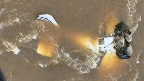 Avião carregado com skunk faz pouso forçado após ser interceptado pela FAB em Roraima