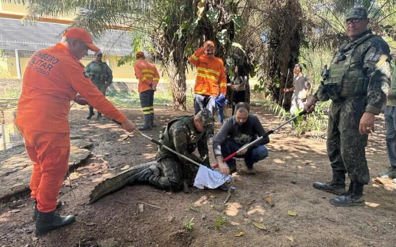 Sema promove capacitação para resgate de animais silvestres durante incêndios florestais em Mato Grosso