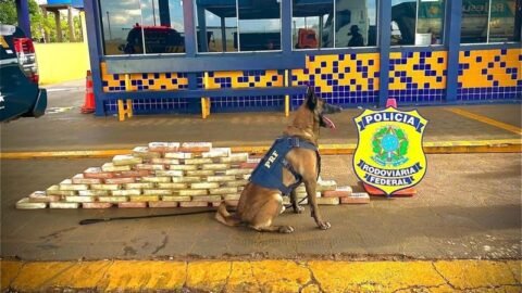 PRF apreende cerca de 70 quilos de cocaína na BR-364 e prende dois traficantes