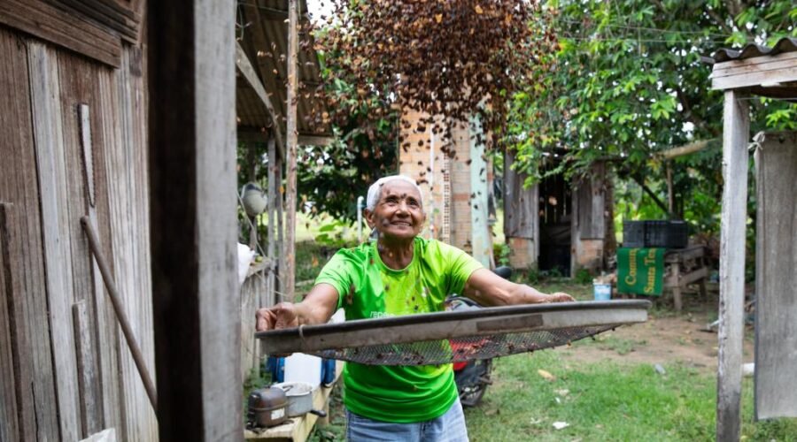 MT Produtivo oferece até R$ 3 milhões para projetos rurais